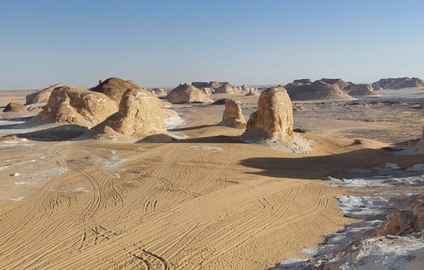 2 Days White Desert and Bahariya Oasis Tour