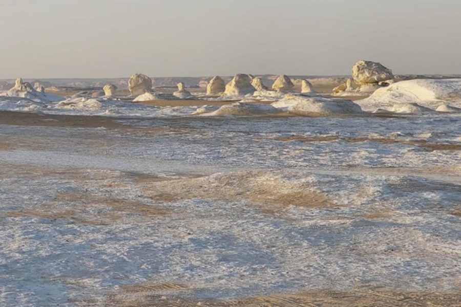 Tour of the White Desert and Bahariya Oasis