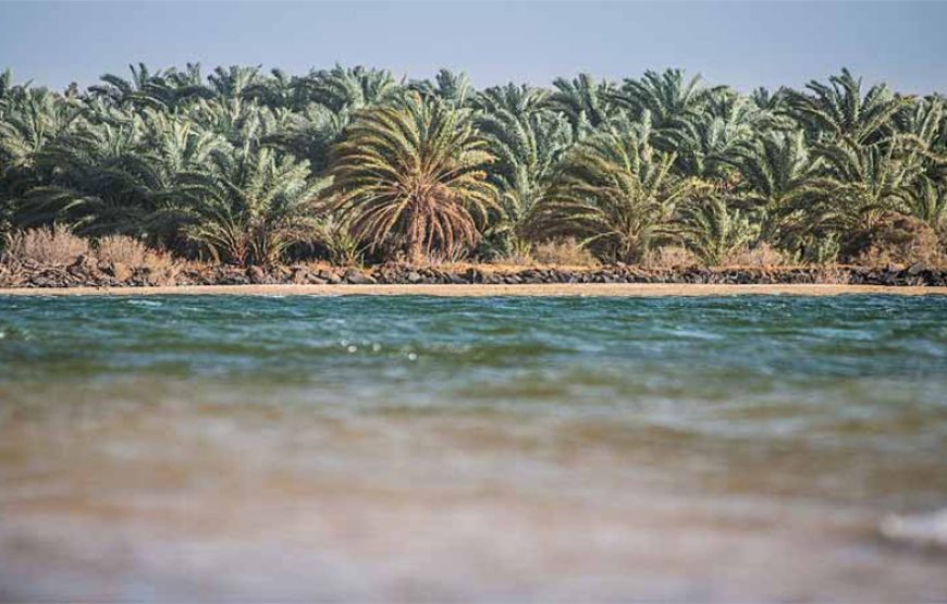 Tour of the White Desert and Bahariya Oasis