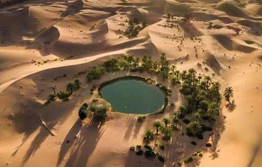 Tour of the White Desert and Bahariya Oasis